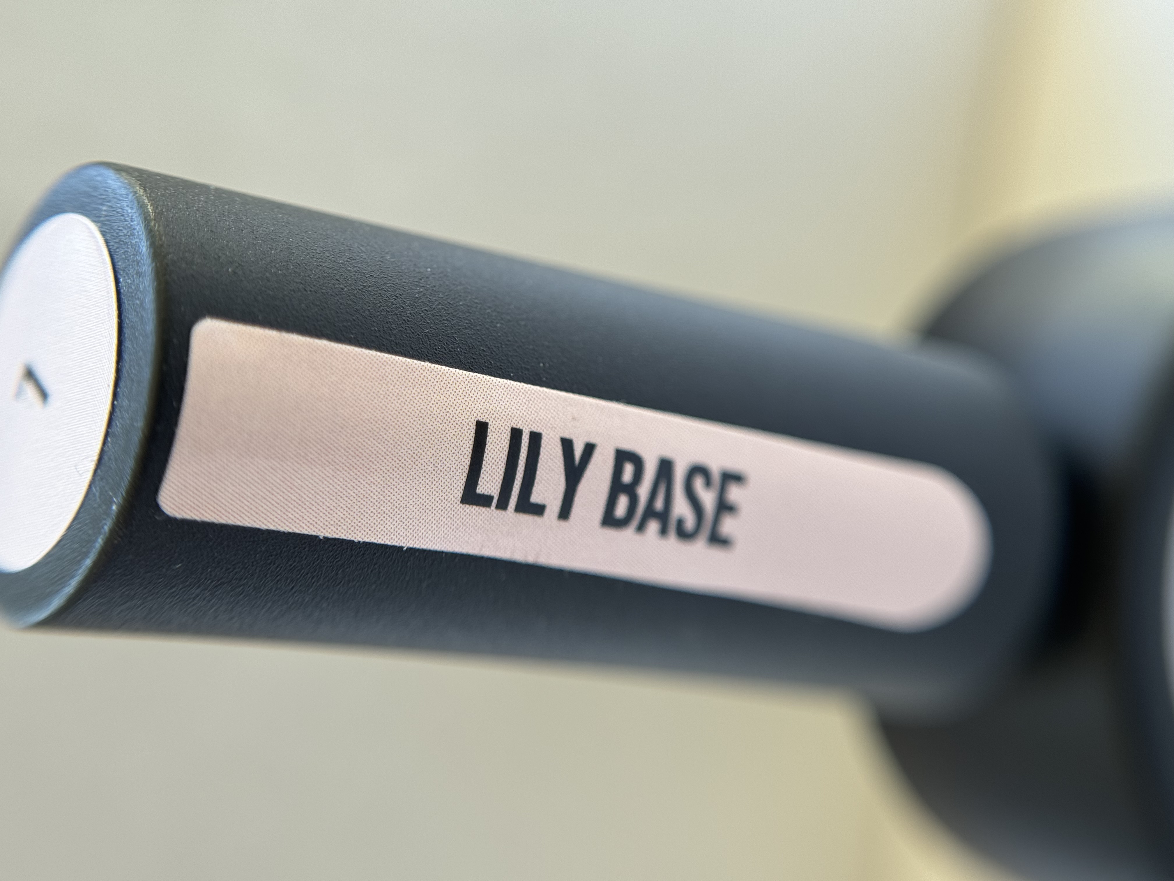 Lily base B+