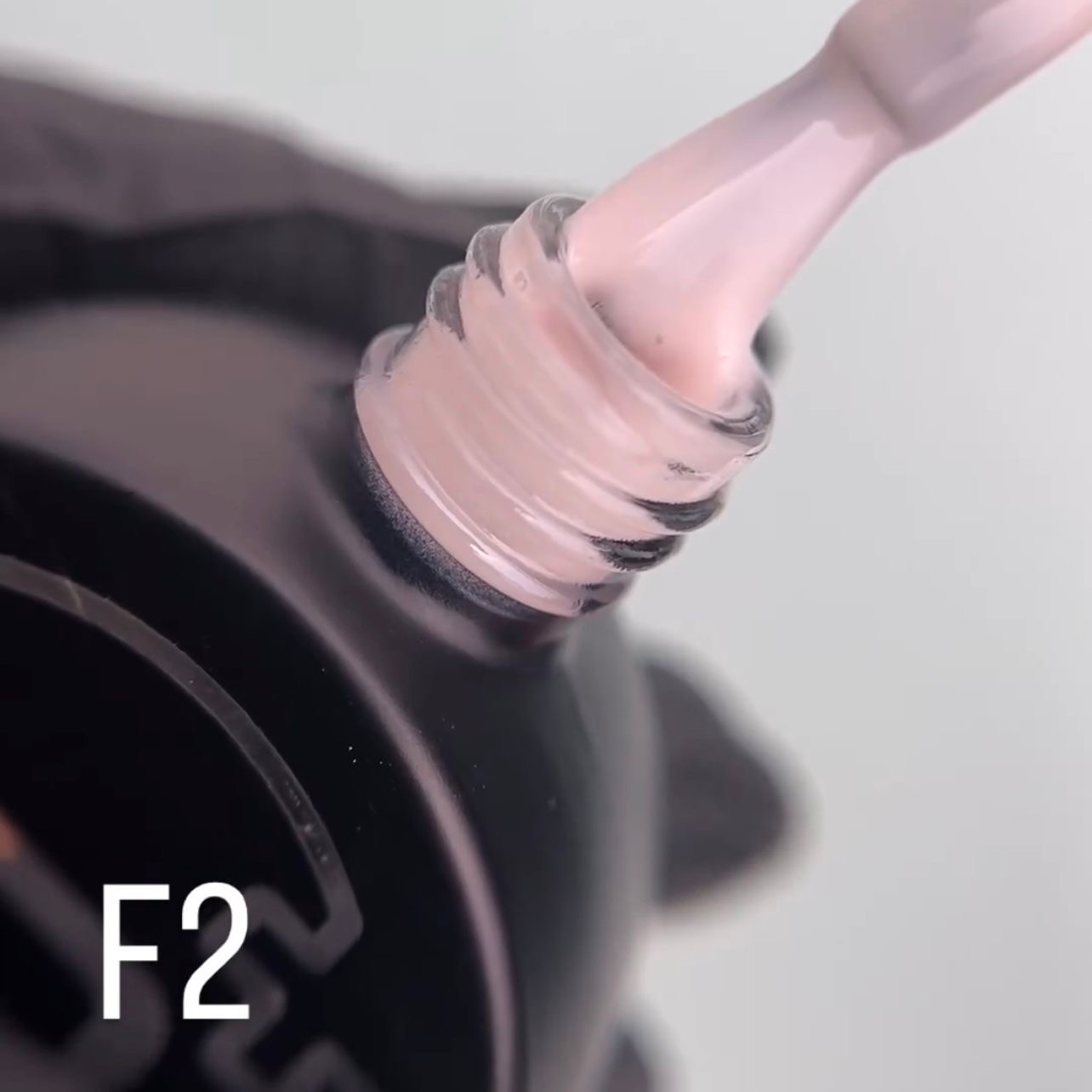 French F2 B+